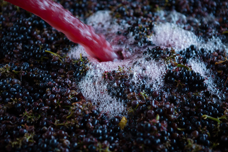 Winemaking