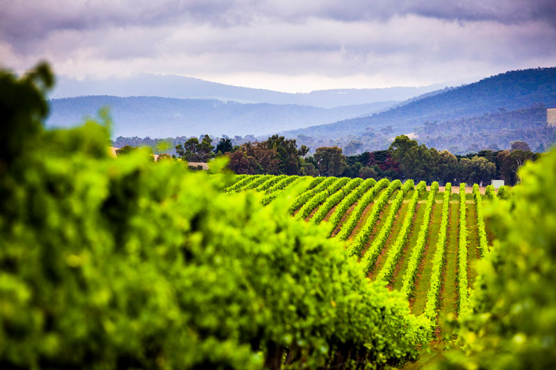 Yarra Valley