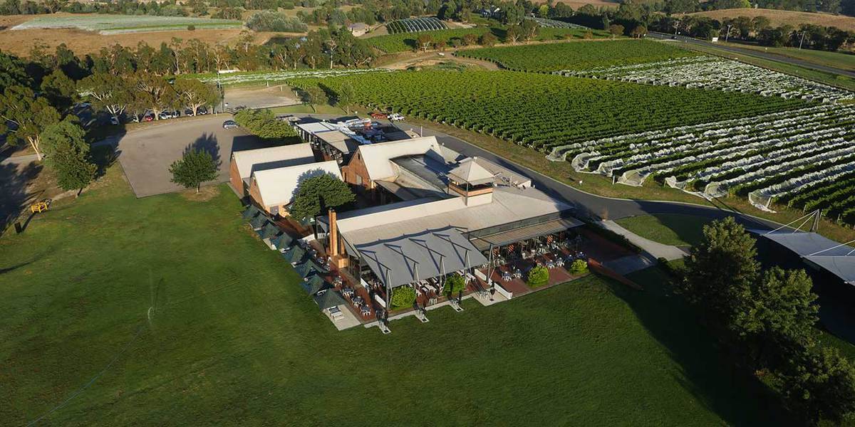 The Home Vineyard